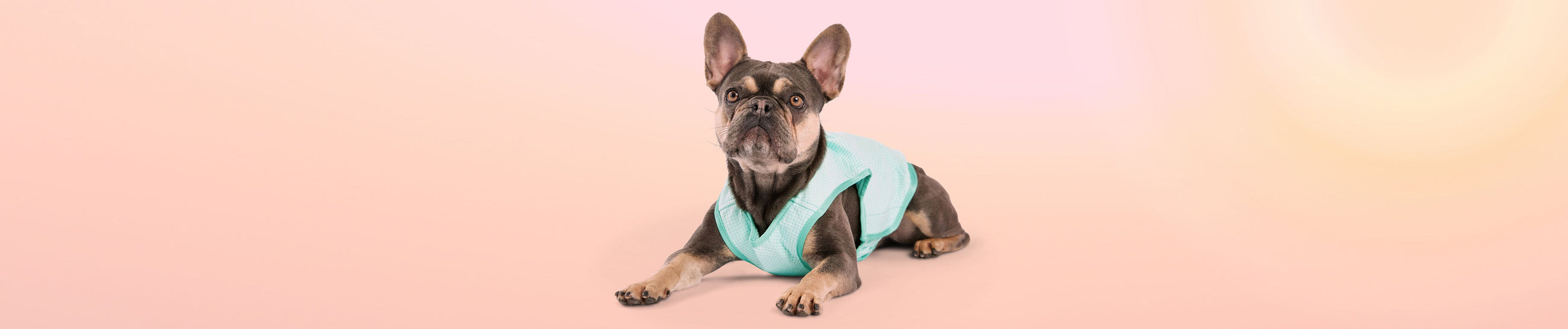 Cooling Collection GF Pet Official Online Store
