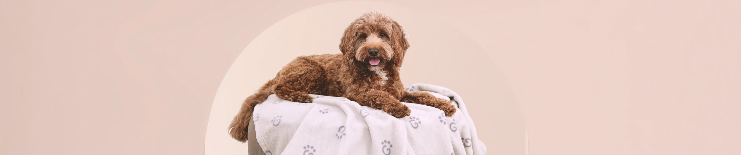 Dog Accessories GF Pet Official Online Store
