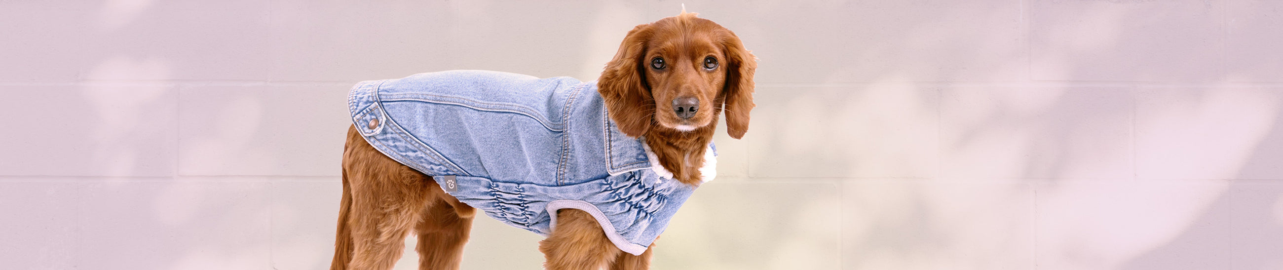 ELASTO-FIT® Designs GF Pet Official Online Store
