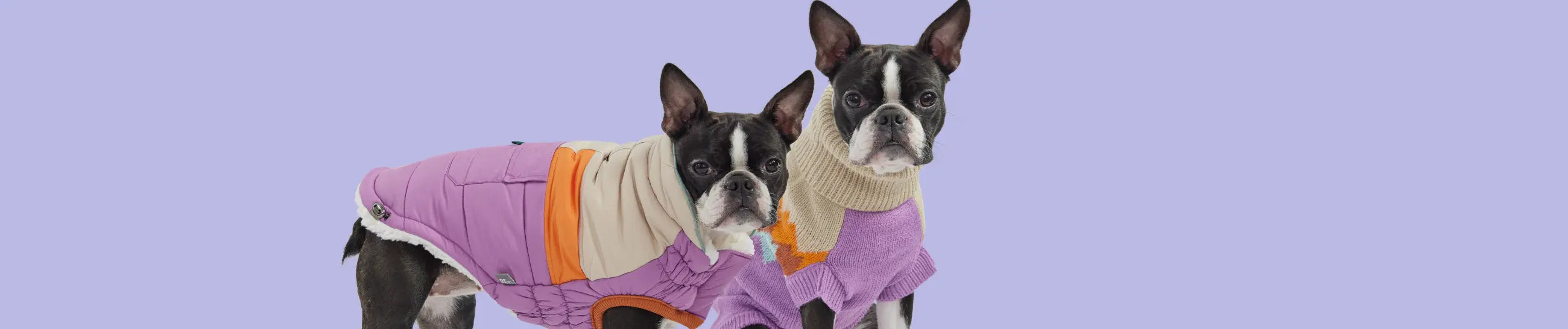Fashionable Apparel GF Pet Official Online Store
