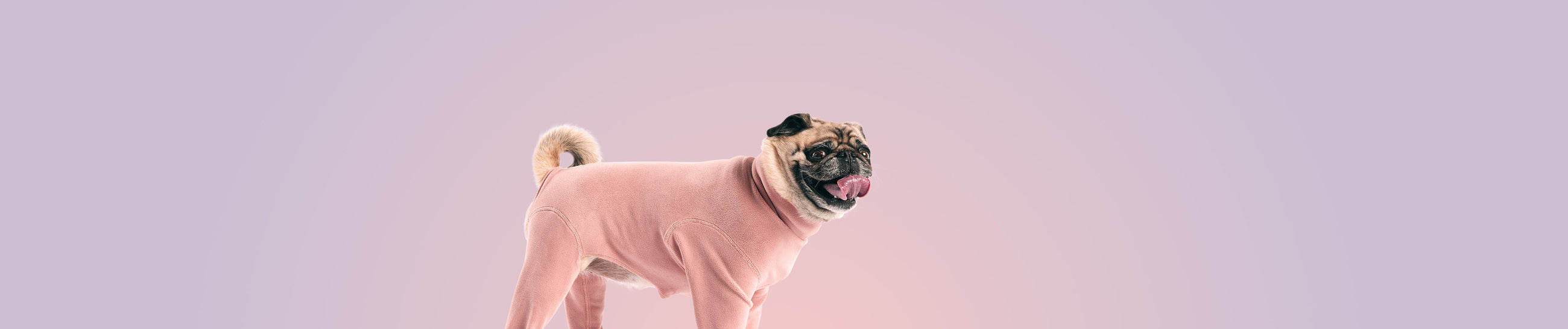 GF Pet "Treat Card" | Gift Cards