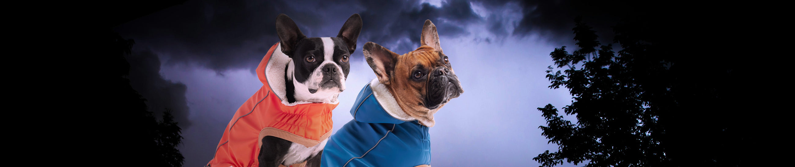 Insulated Dog Raincoats