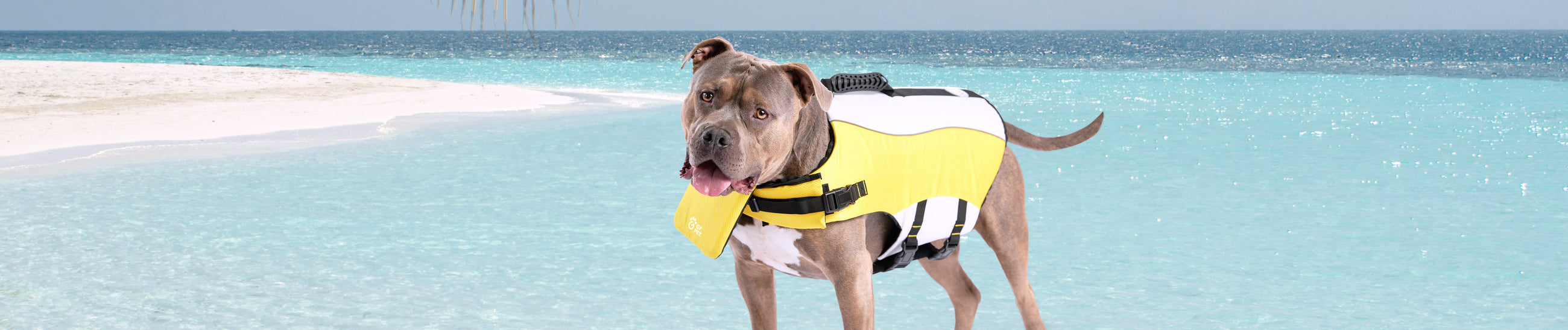 Travel & Outdoors GF Pet Official Online Store