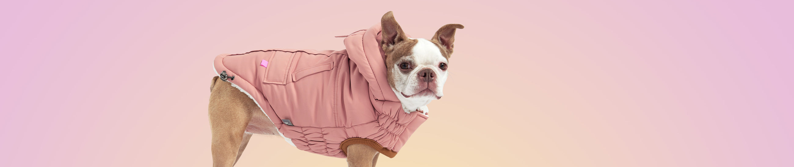 Winter Coats GF Pet Official Online Store