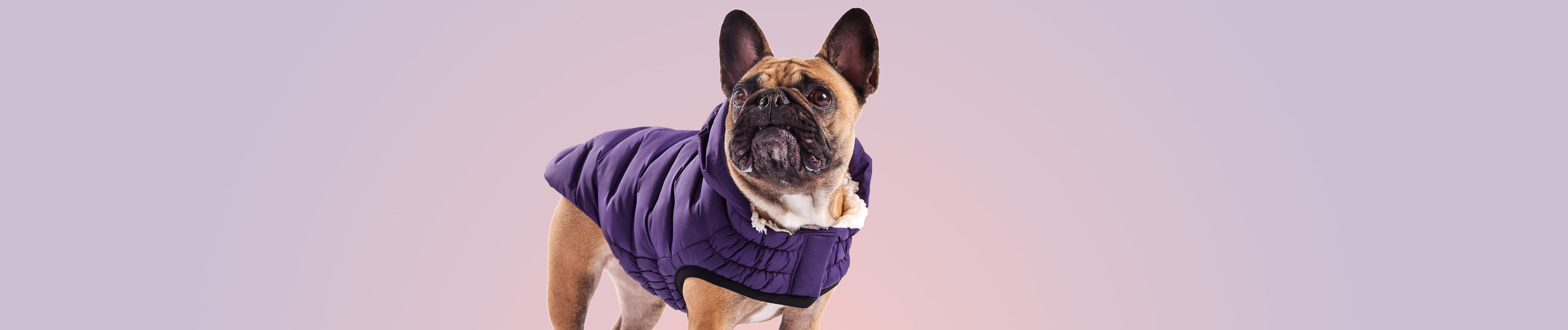 Winter Coats GF Pet Official Online Store