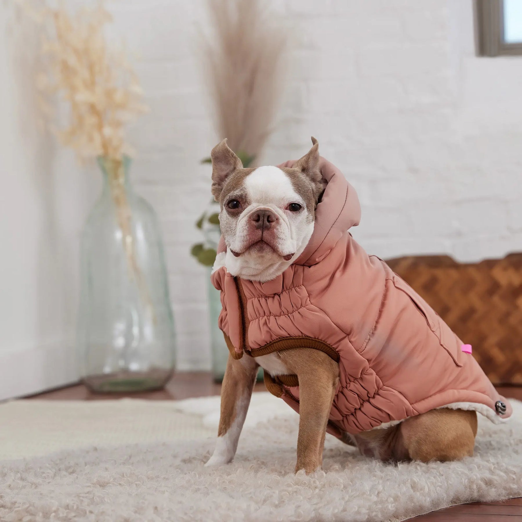 Arctic Parka | Dog Coat | Clay GF PET Apparel GF Pet Official Online Store