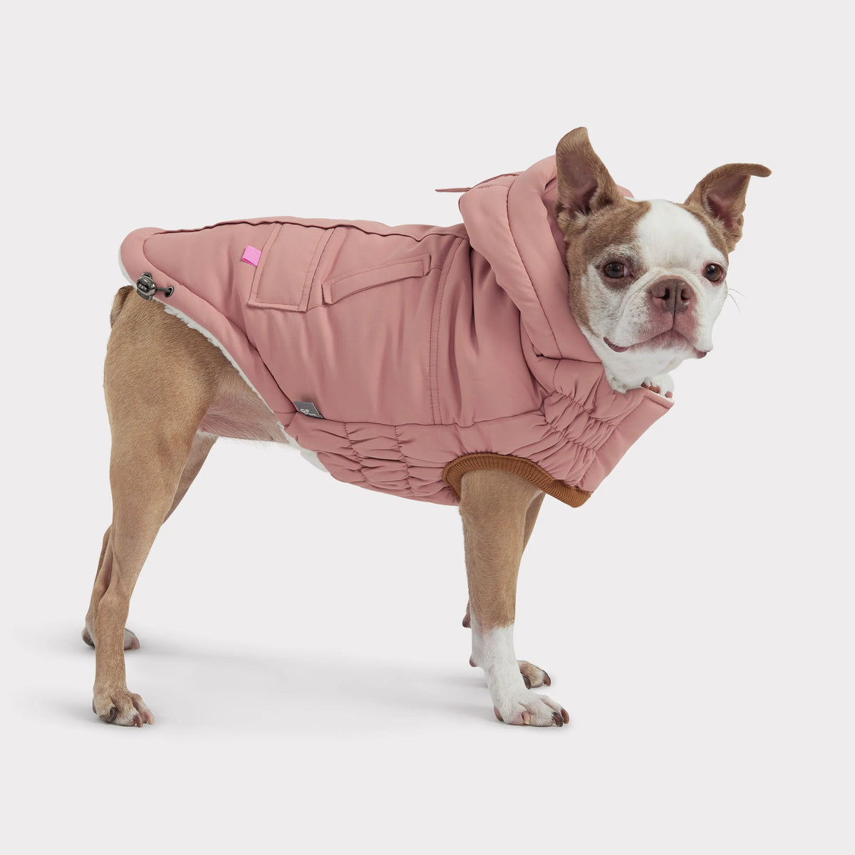 Arctic Dog Parka | Clay GF Pet Official Online Store Apparel GF Pet Official Online Store