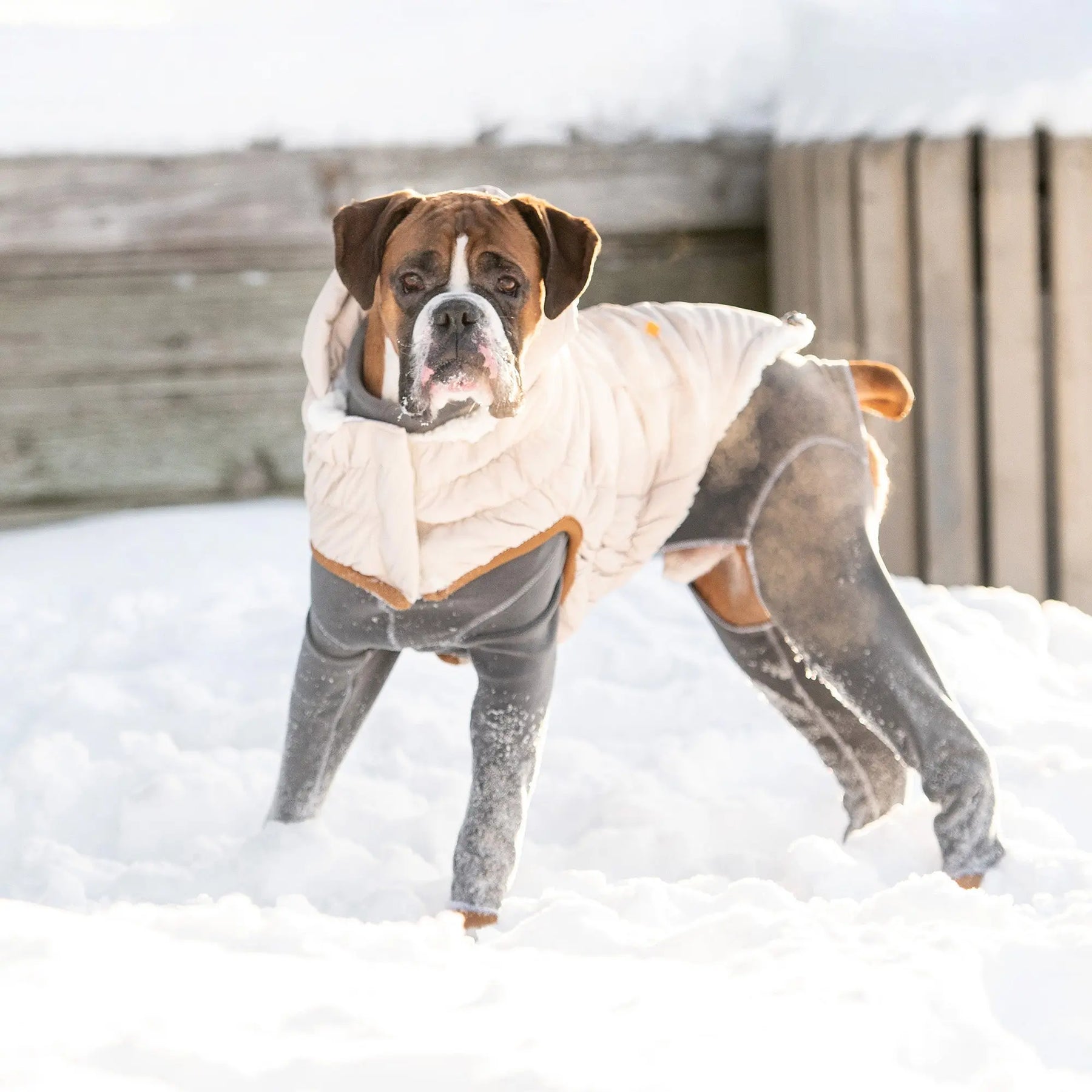 Arctic Parka | Dog Coat | Sand GF PET Apparel GF Pet Official Online Store