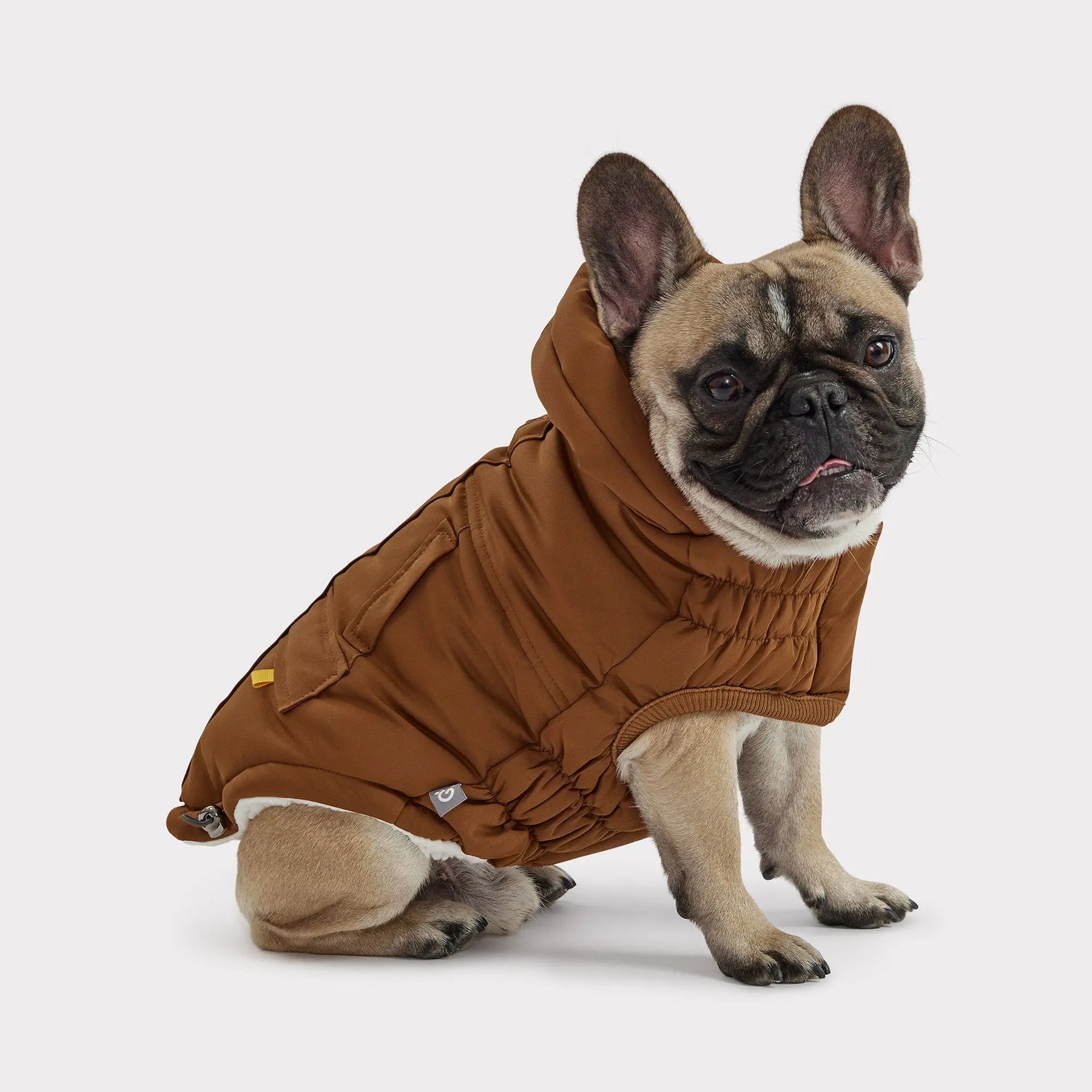 Arctic Parka | Dog Coat | Wood GF PET Apparel GF Pet Official Online Store