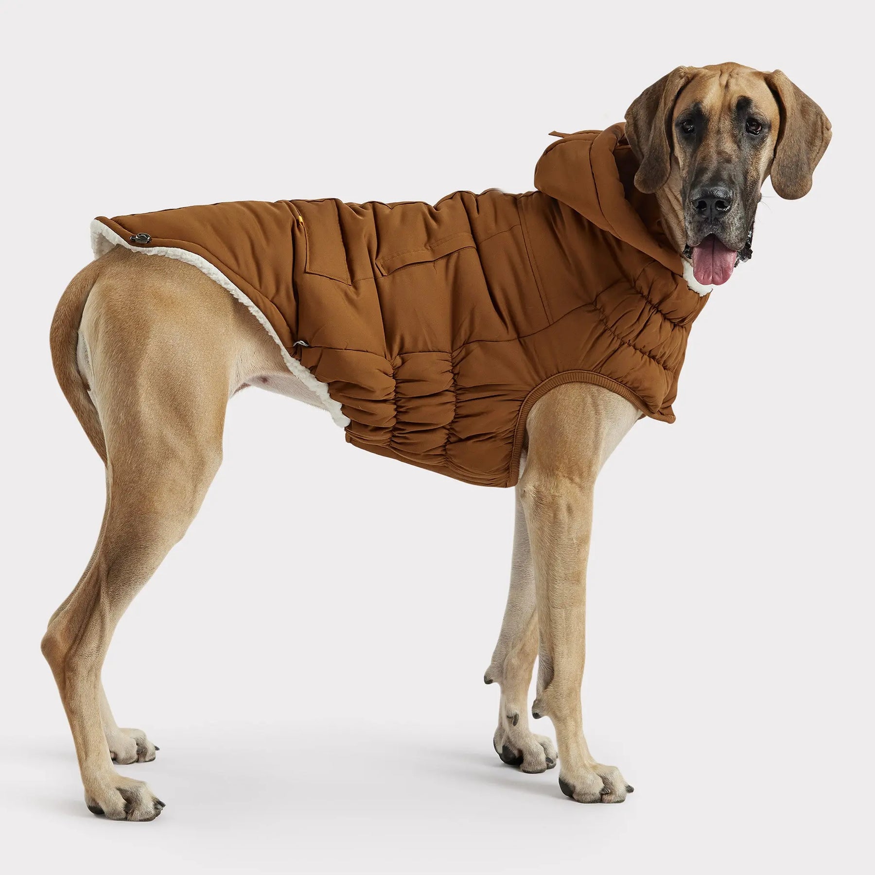 Arctic Parka | Dog Coat | Wood GF PET Apparel GF Pet Official Online Store
