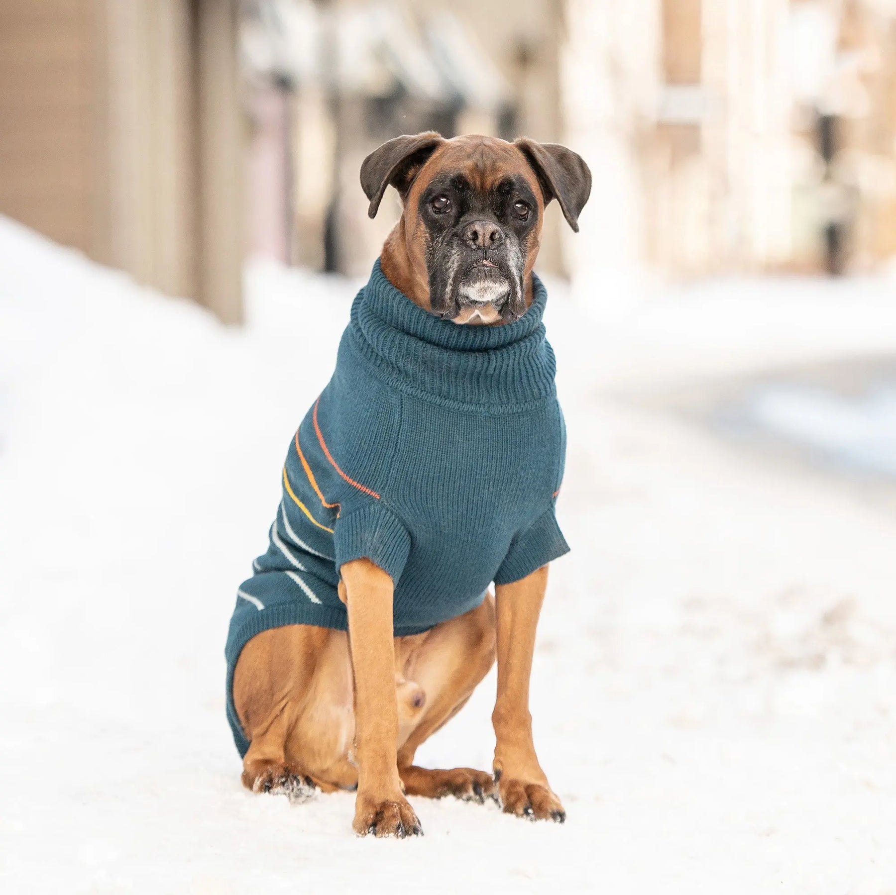 Arctic Dog Sweater | Dark Teal GF Pet Official Online Store Apparel GF Pet Official Online Store