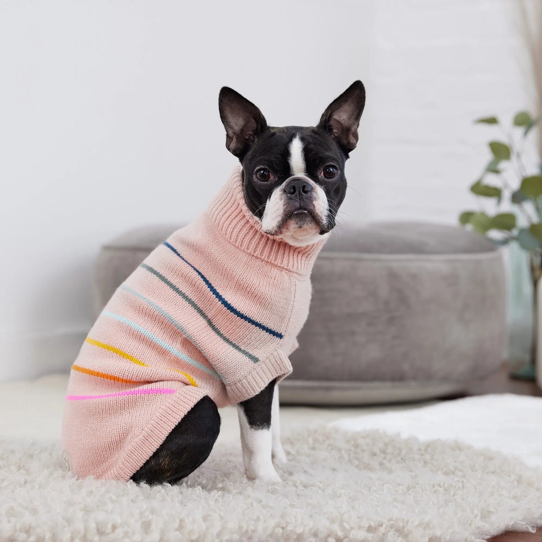 Arctic Dog Sweater | Pink GF Pet Official Online Store Apparel GF Pet Official Online Store