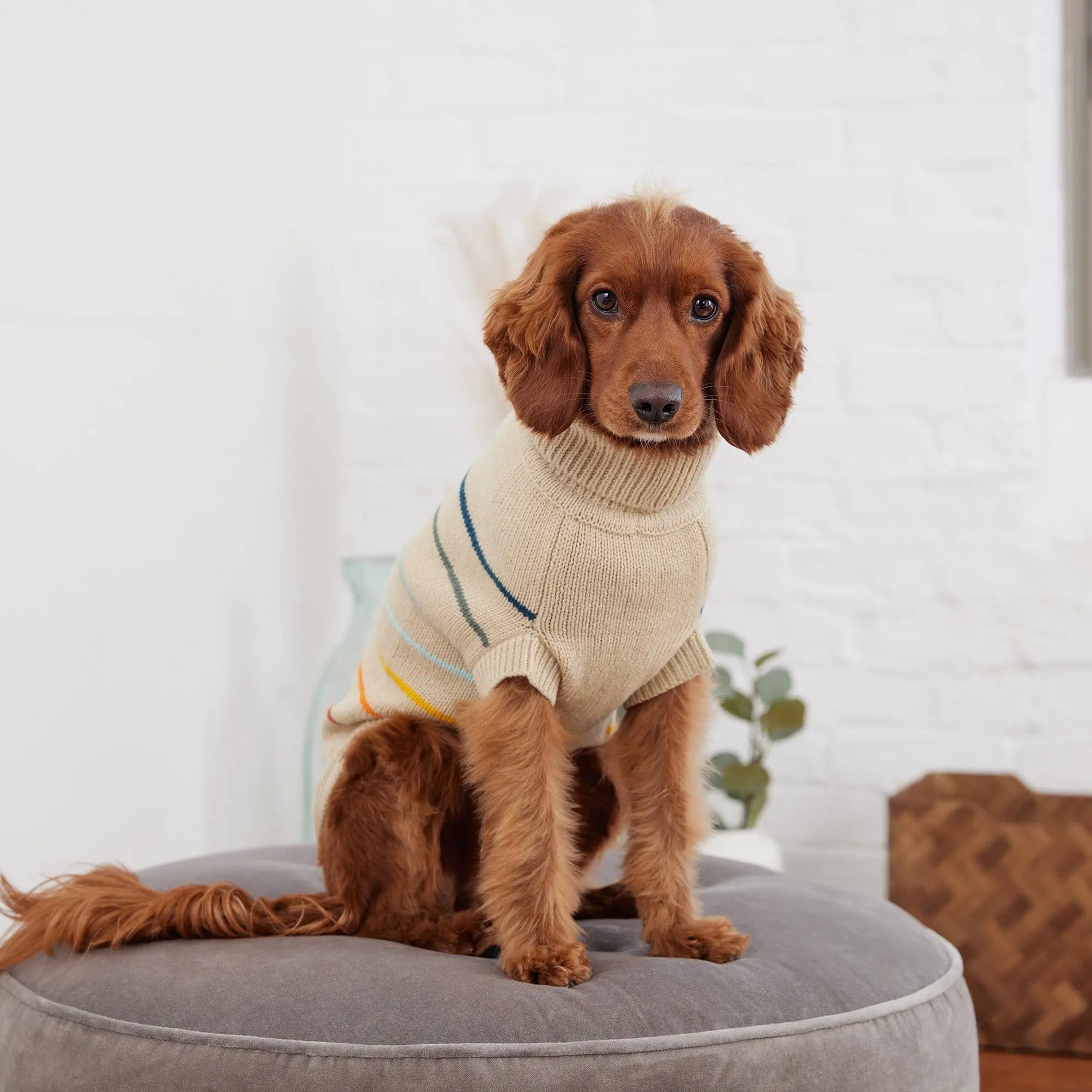 Arctic Dog Sweater | Sand GF Pet Official Online Store Apparel GF Pet Official Online Store