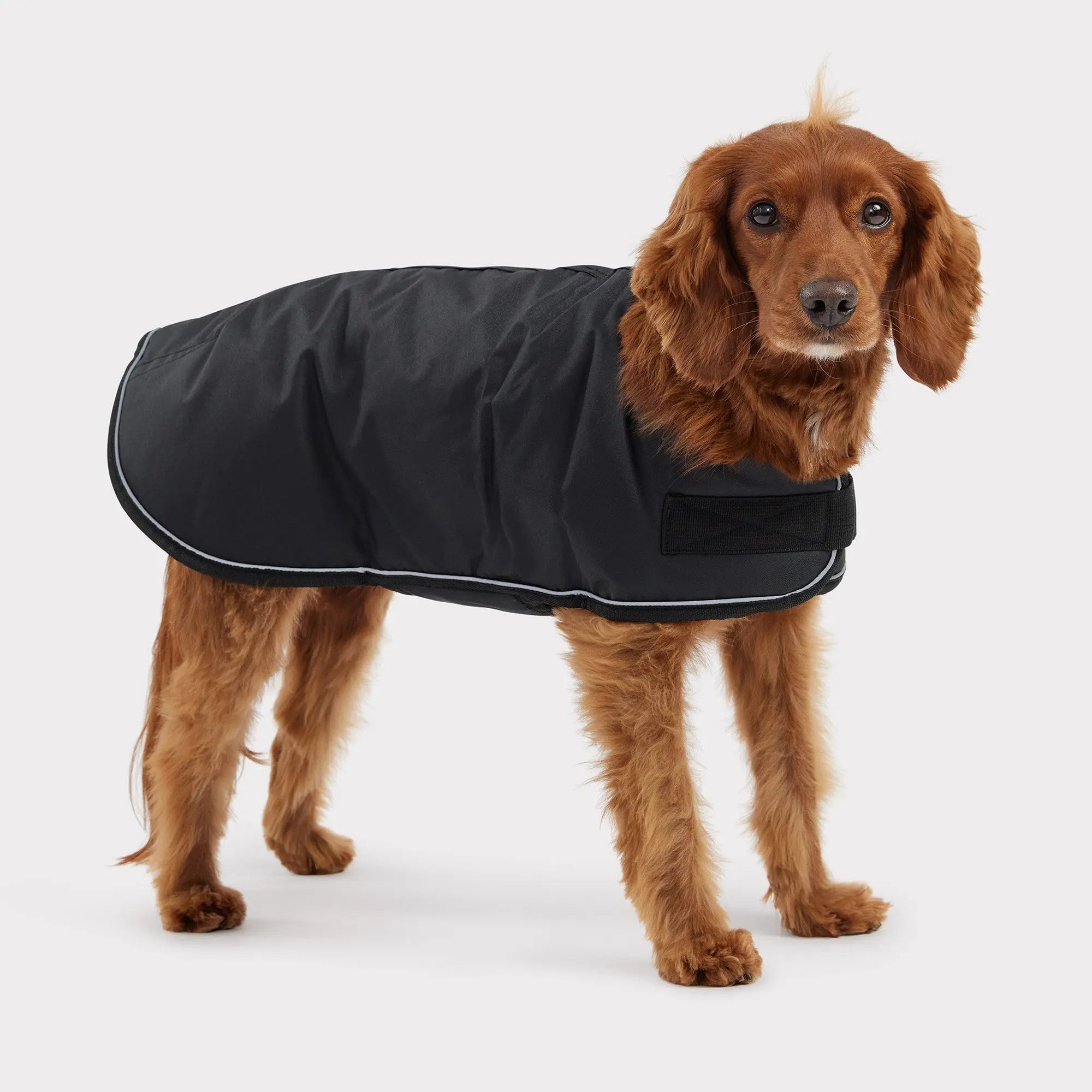 Blanket Dog Jacket Black GF Pet Official Online Store