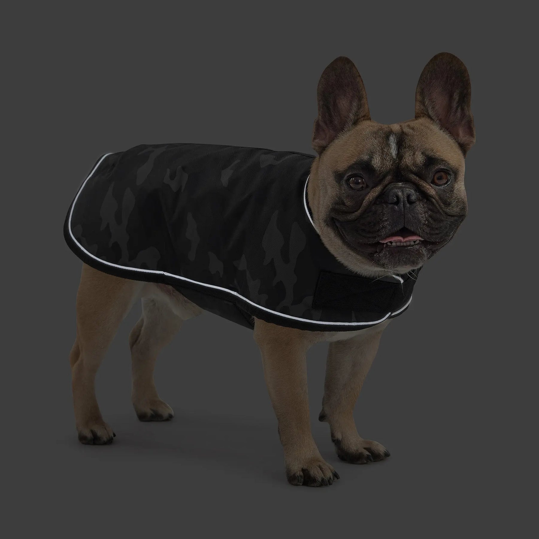 Blanket Dog Jacket | Camo GF PET Apparel GF Pet Official Online Store
