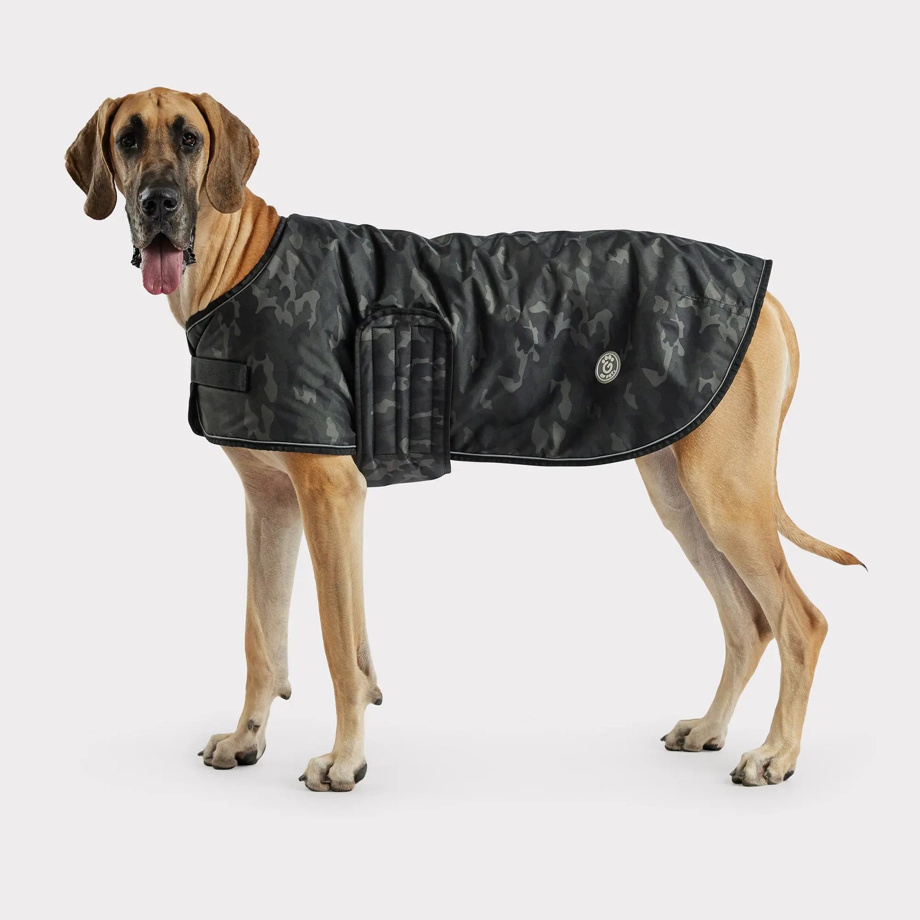 Blanket Dog Jacket | Camo GF PET Apparel GF Pet Official Online Store