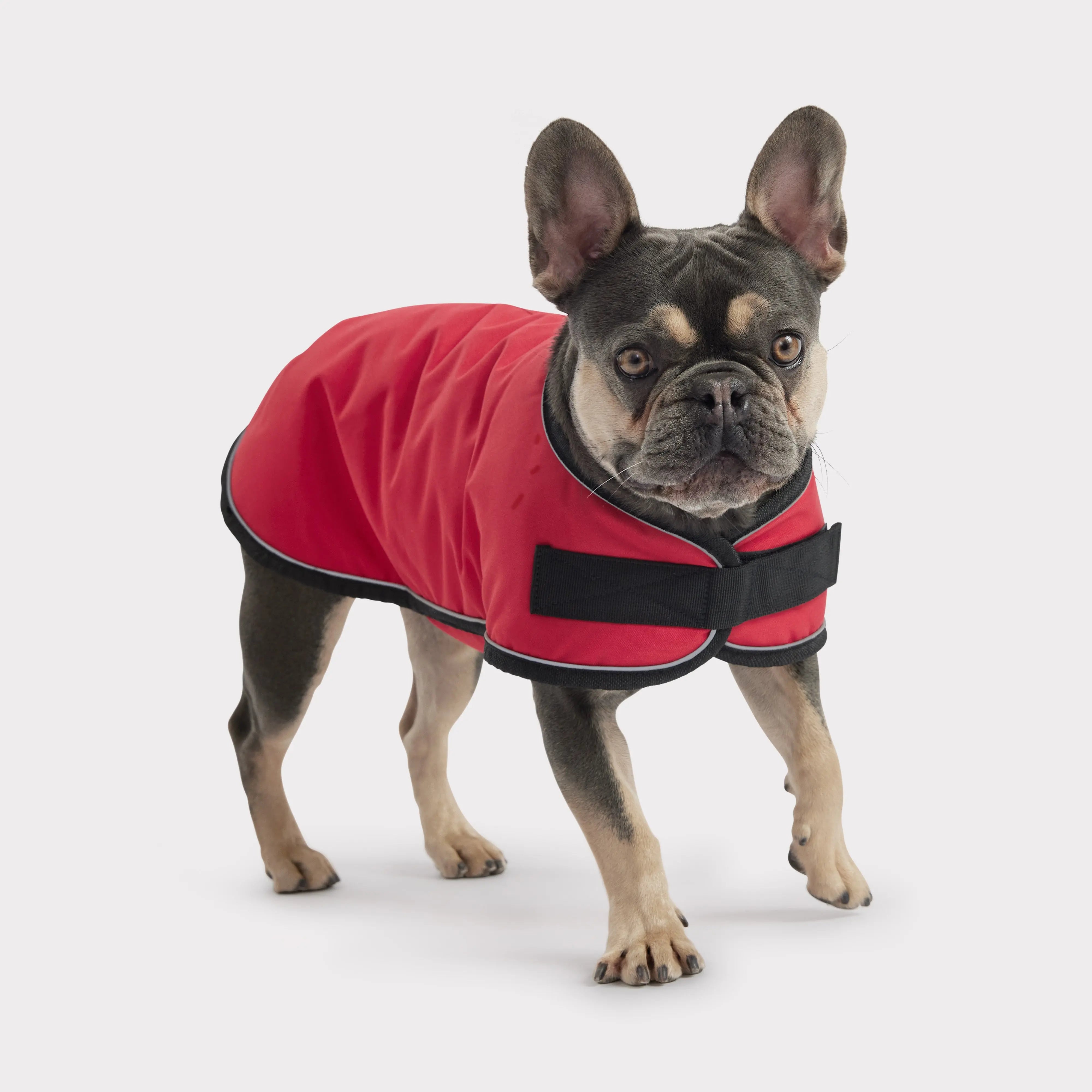 Dog jacket price hotsell