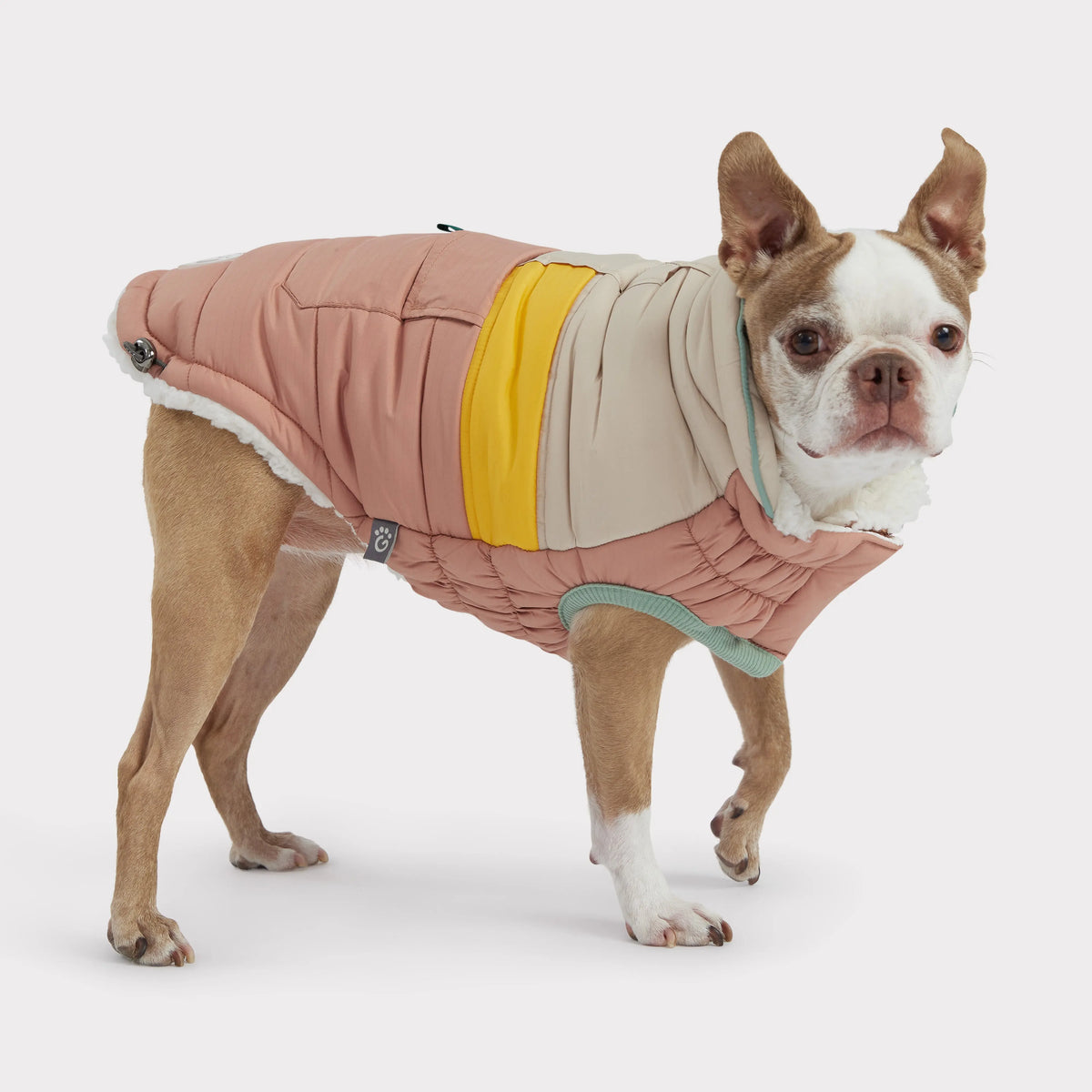Camplife Dog Puffer | Clay GF Pet Official Online Store Apparel GF Pet Official Online Store