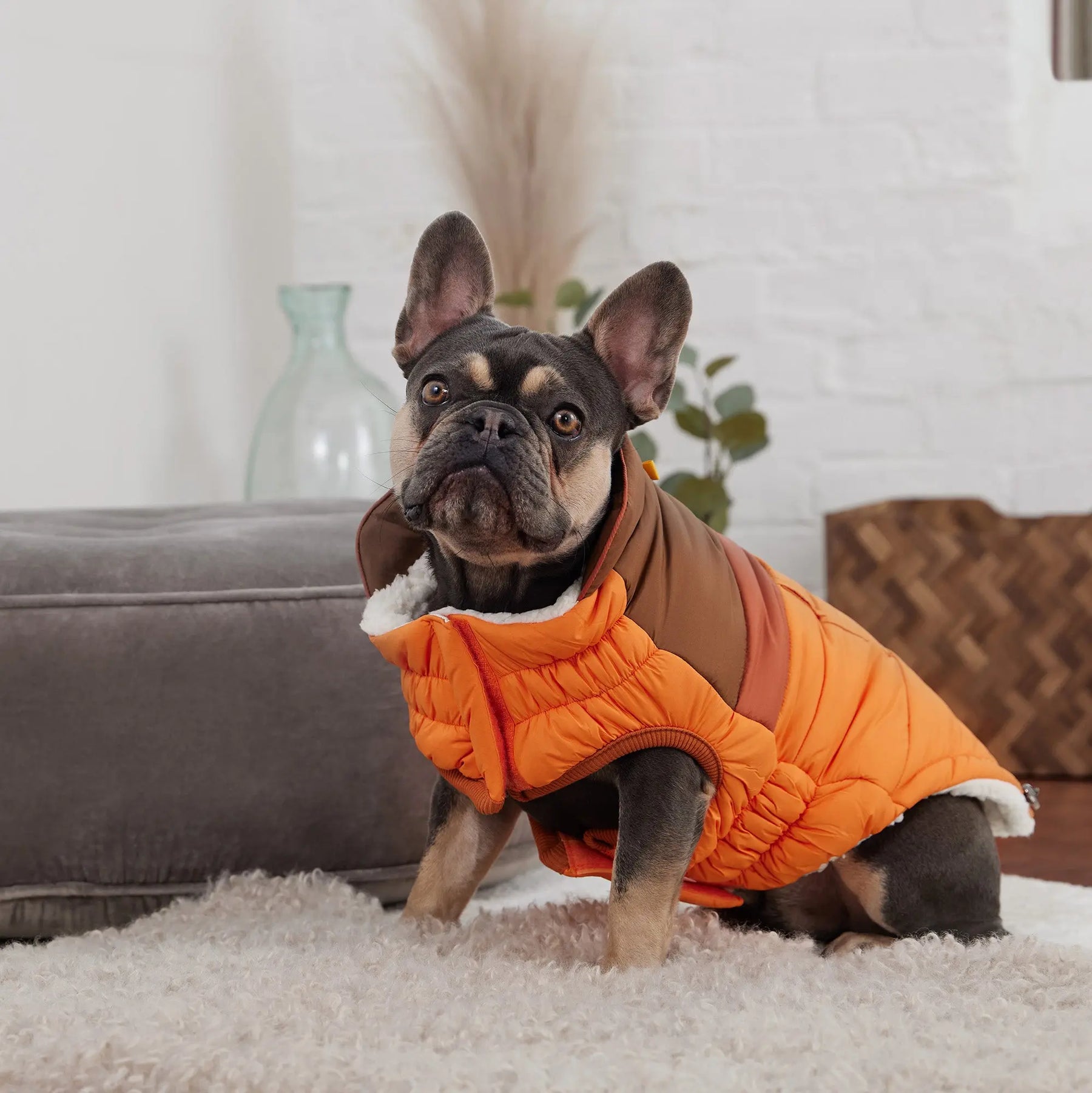 Camplife Puffer |  Dog Coat | Orange GF PET Apparel GF Pet Official Online Store