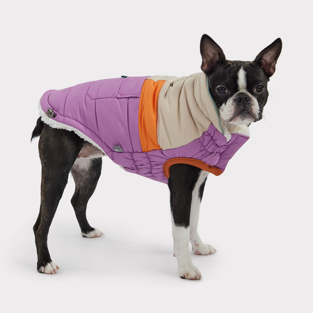Camplife Puffer |  Dog Coat | Purple GF PET Apparel GF Pet Official Online Store
