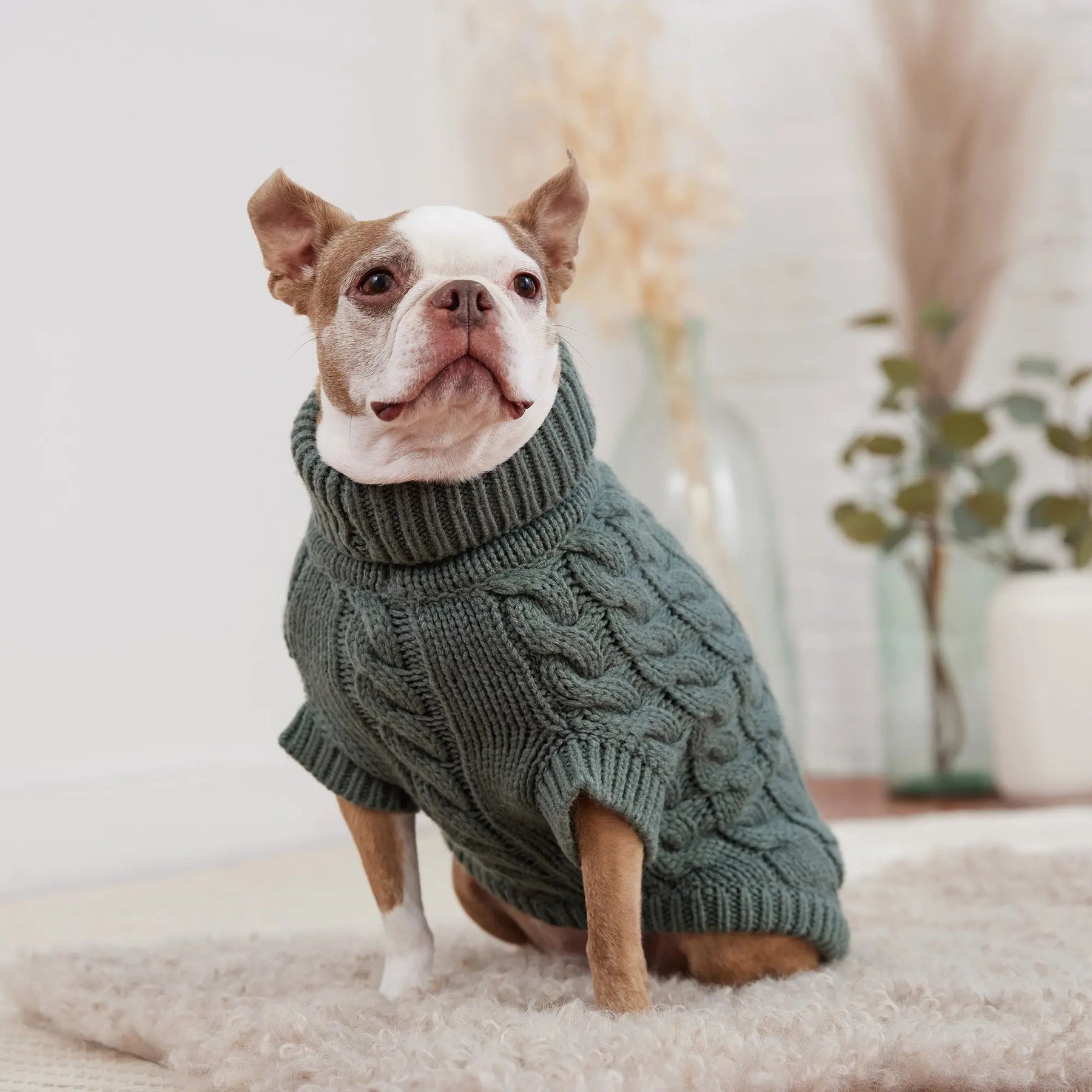 Chalet Dog Sweater | Sage GF PET Apparel GF Pet Official Online Store