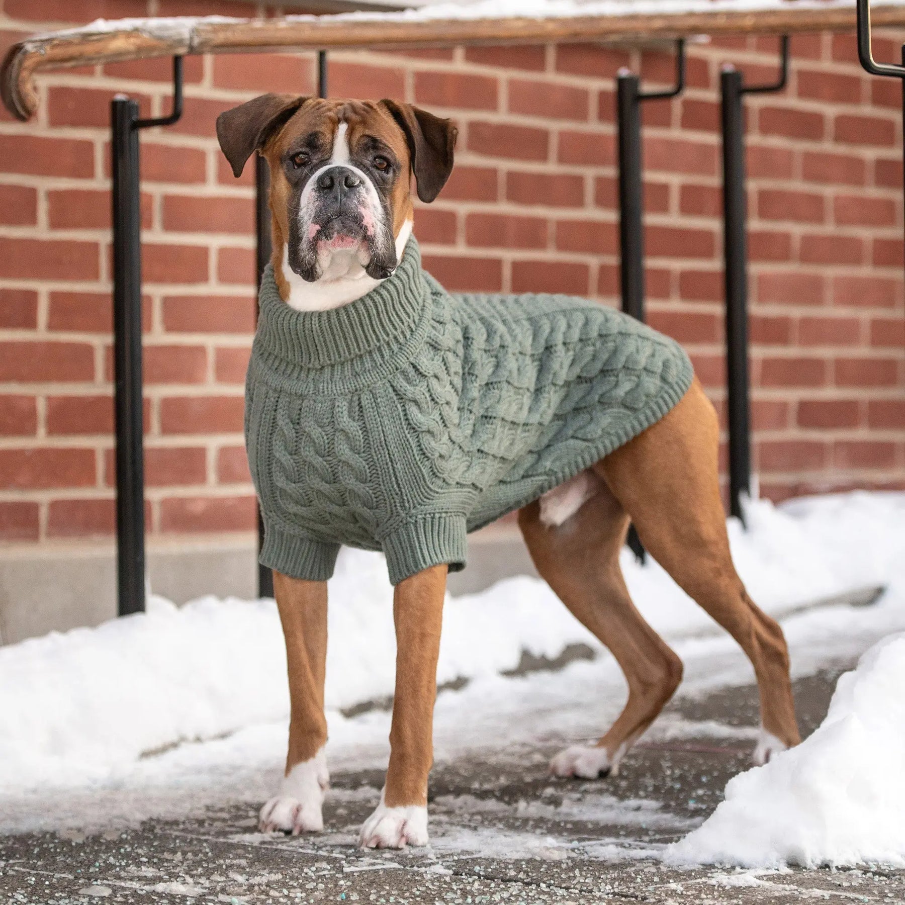 Chalet Dog Sweater | Sage GF PET Apparel GF Pet Official Online Store