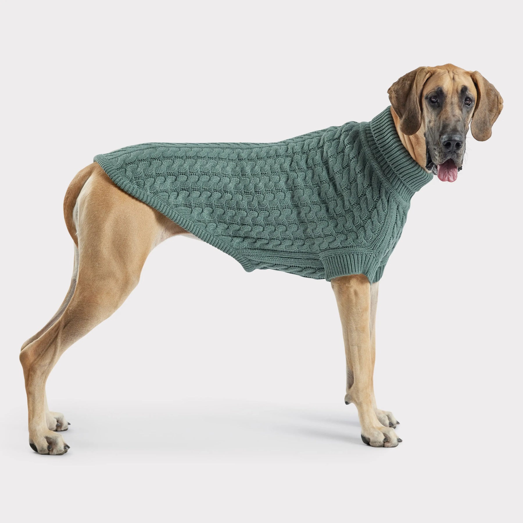 Chalet Dog Sweater | Sage GF PET Apparel GF Pet Official Online Store
