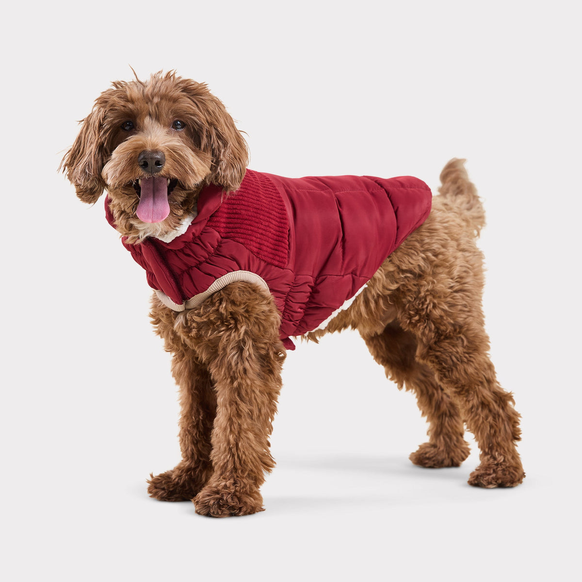 Cold Mountain Puffer | Cherry Frost (Copy) GF Pet Official Online Store Apparel GF Pet Official Online Store