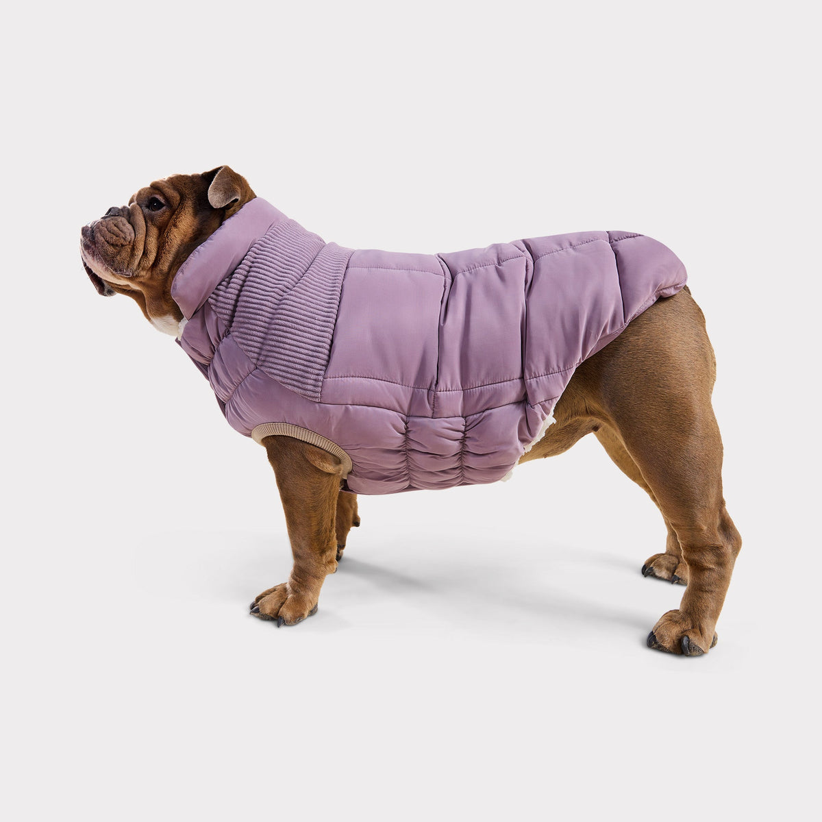 Cold Mountain Puffer | Vintage Navy GF Pet Official Online Store Apparel GF Pet Official Online Store