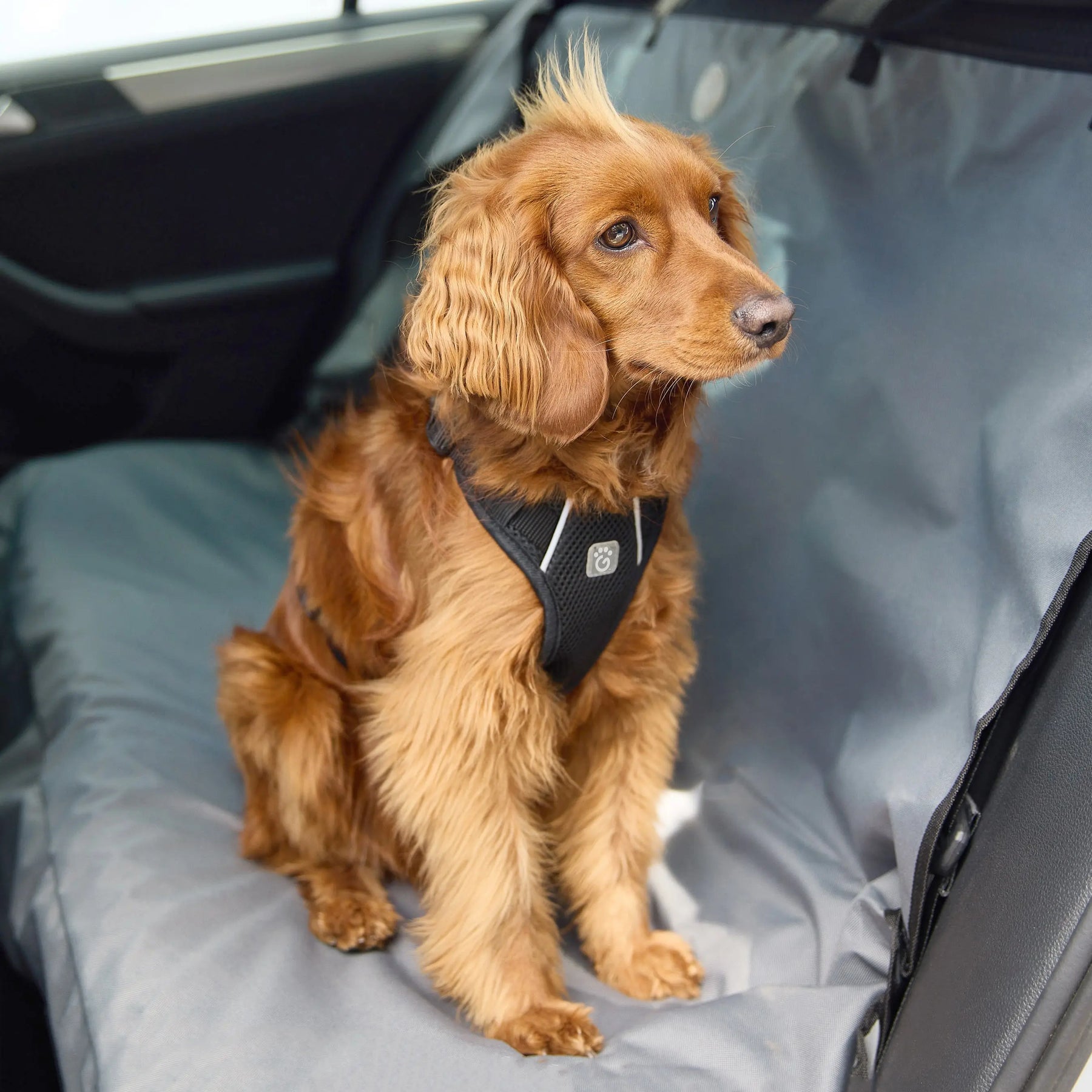 Dog Travel Harness GF PET Travel & Outdoors GF Pet Official Online Store