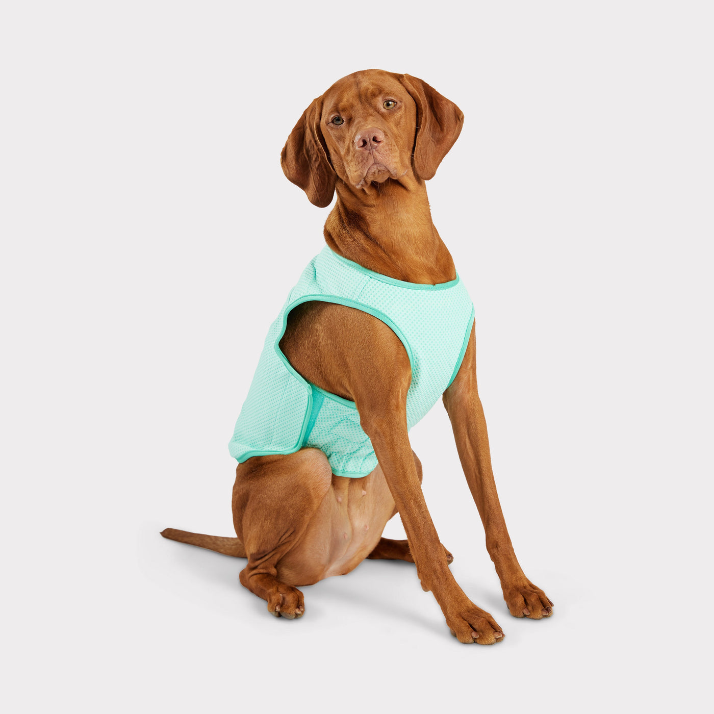 Elasto-Fit¨ Ice Vest¨ | Dog Cooling Vest | Aqua GF PET Cooling GF Pet Official Online Store