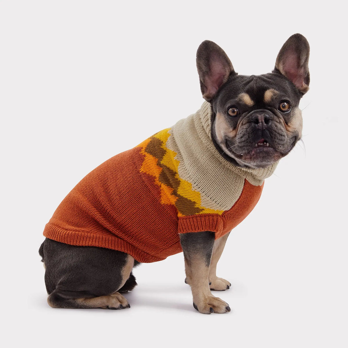 Fireside Dog Sweater | Chili GF Pet Official Online Store Apparel GF Pet Official Online Store