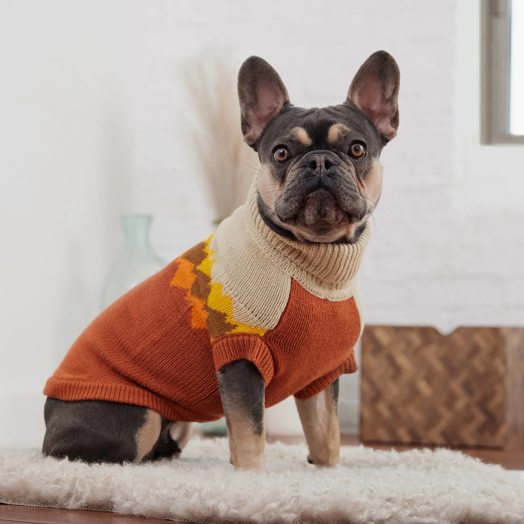 Fireside Dog Sweater | Chili GF Pet Official Online Store Apparel GF Pet Official Online Store