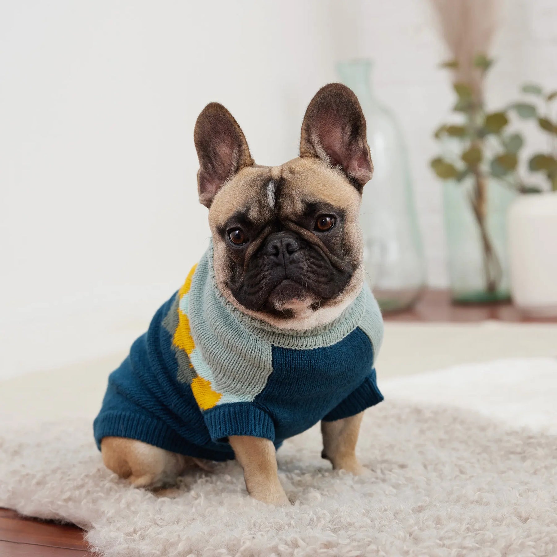 Fireside Dog Sweater | Dark Teal GF Pet Official Online Store Apparel GF Pet Official Online Store