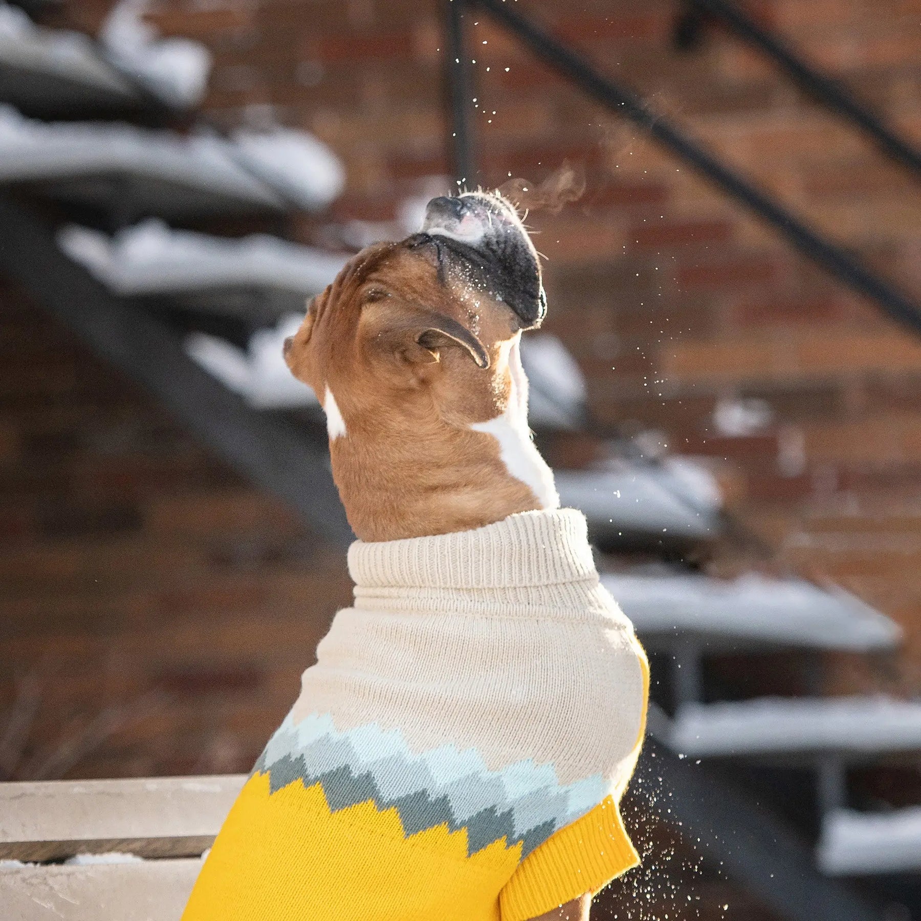 Fireside Dog Sweater | Yellow GF Pet Official Online Store Apparel GF Pet Official Online Store