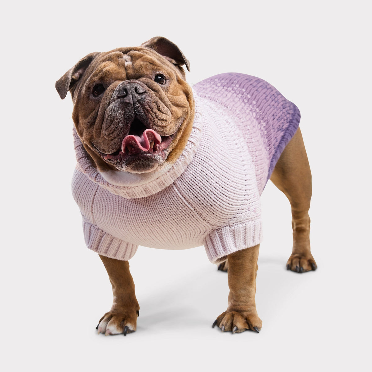 Fisherman Sweater | Portside Red GF Pet Official Online Store Apparel GF Pet Official Online Store