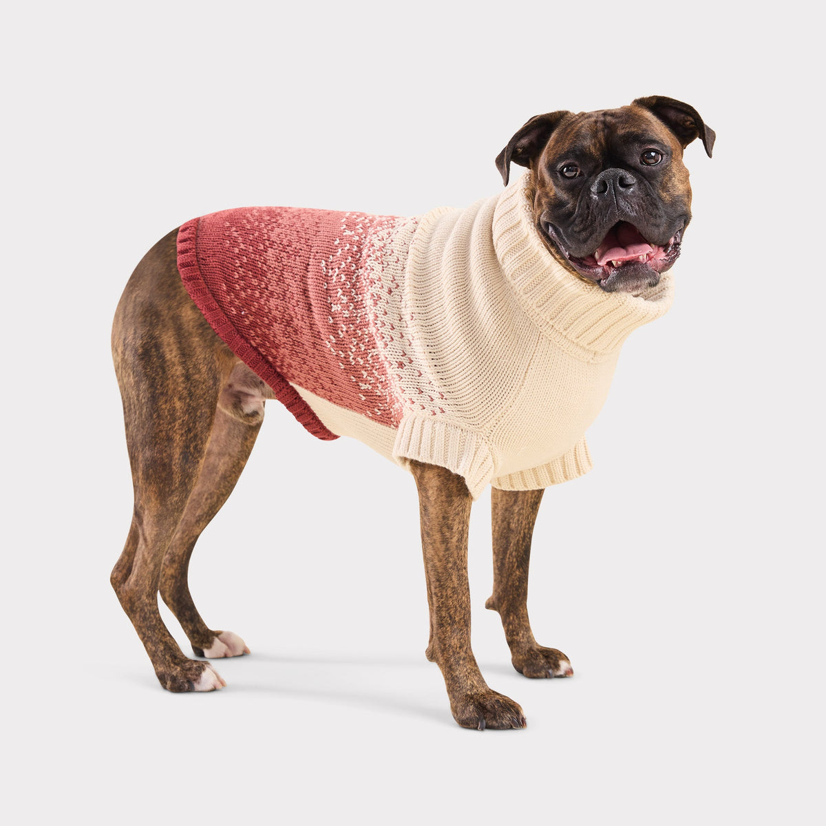 Fisherman Sweater | Portside Red (Copy) GF Pet Official Online Store Apparel GF Pet Official Online Store
