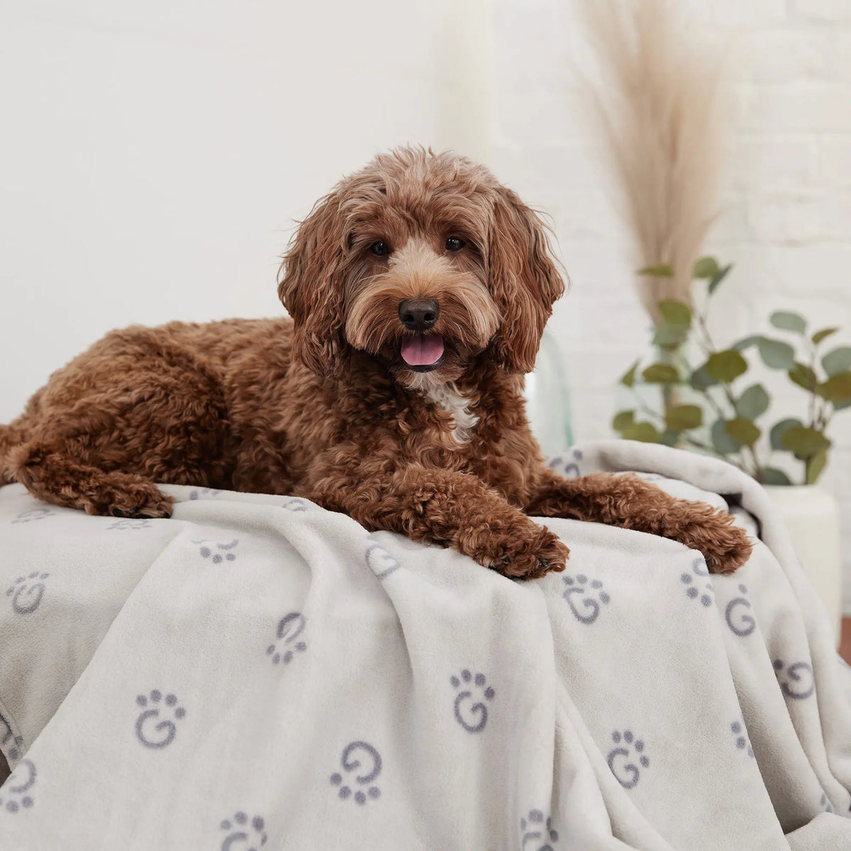 GF PET® Logo Blanket | Light Grey GF PET Home Décor GF Pet Official Online Store