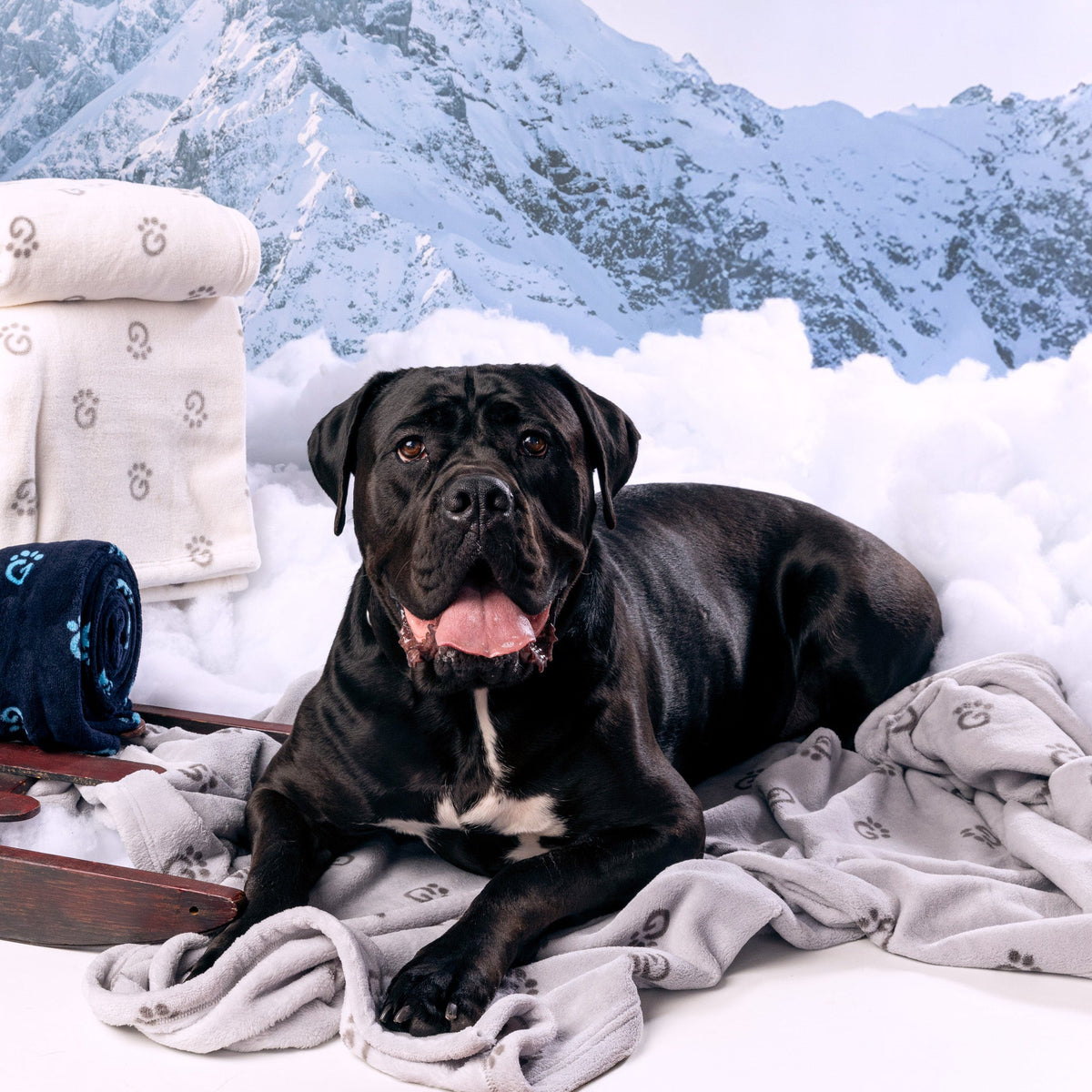 GF PET® InFiber™ Blanket GF Pet Official Online Store GF Pet Official Online Store