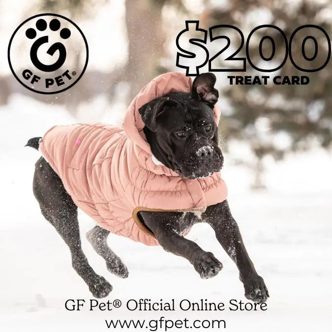 GF Pet Official Online Store Gift Card - Treat Card 200 GF PET Gift Cards GF Pet Official Online Store