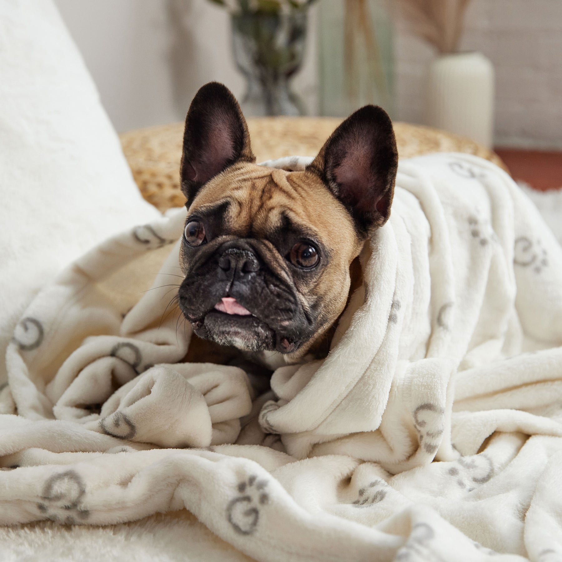 GF PET® Logo Blanket | Off White - GF Pet Official Online Store