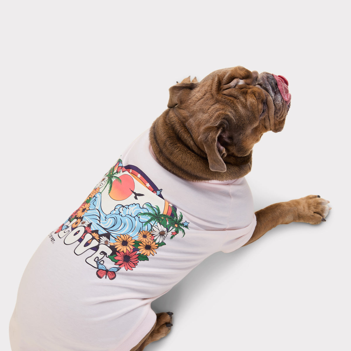 T-shirt graphique pour chien | Gris chiné