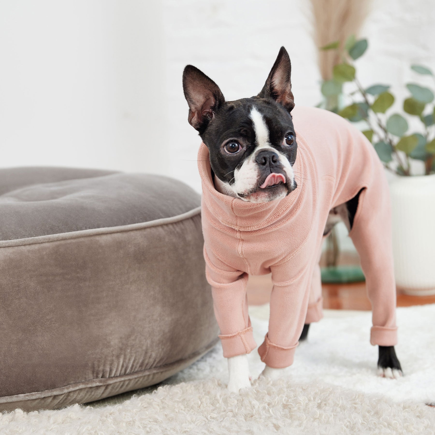 Gondola Dog Onesie | Pink - GF Pet Official Online Store