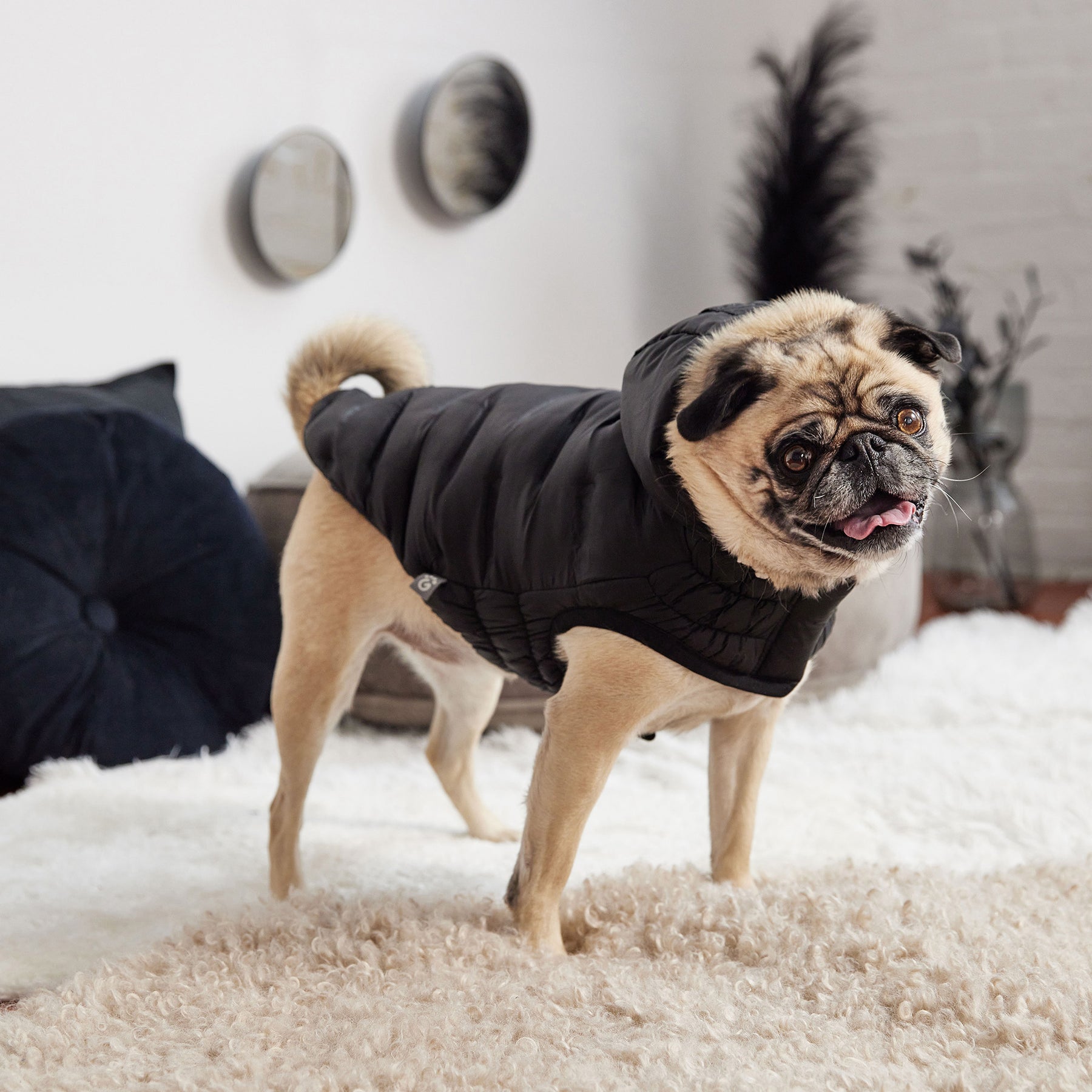 Parka pour chien nuage | Noir