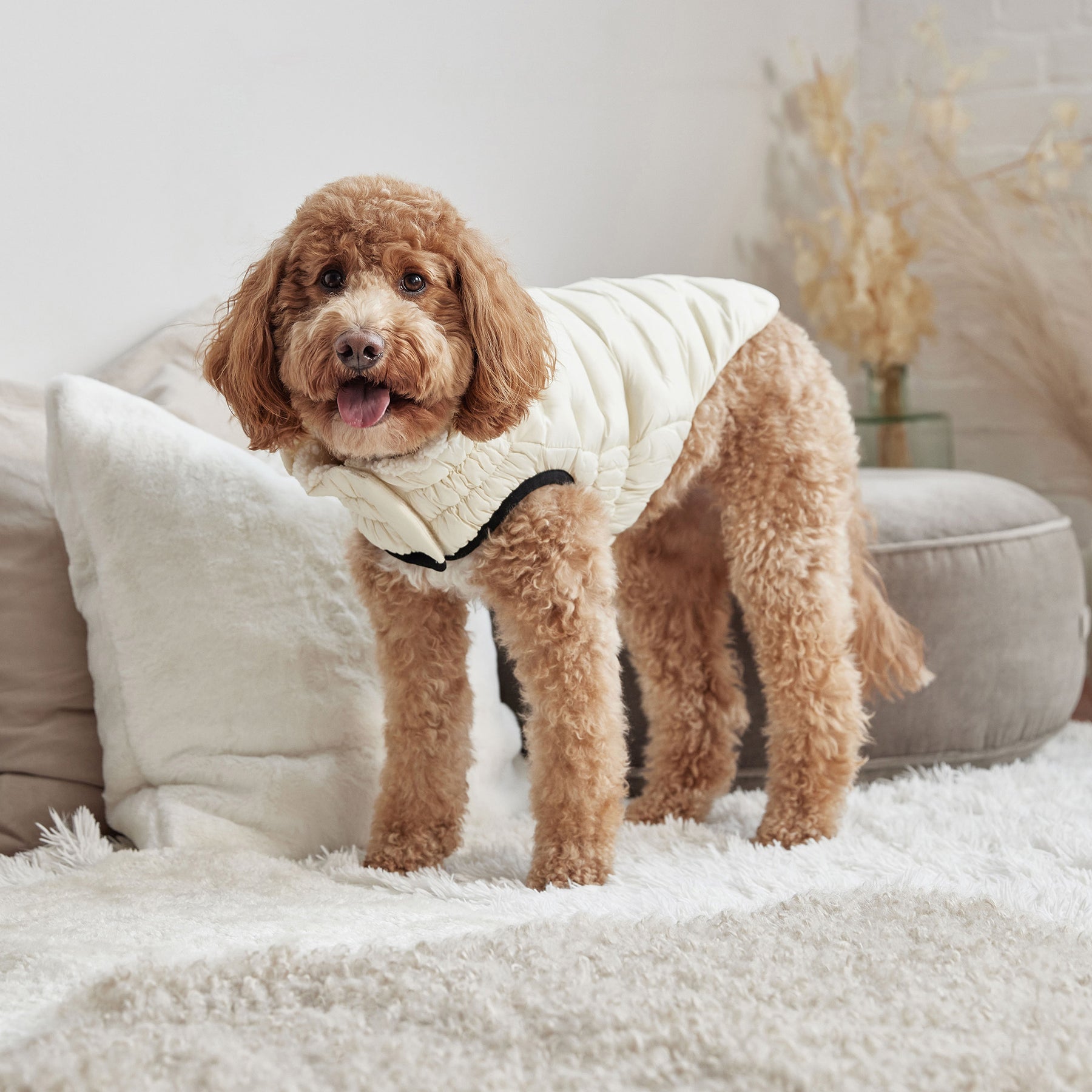 Parka pour chien nuage | Sable