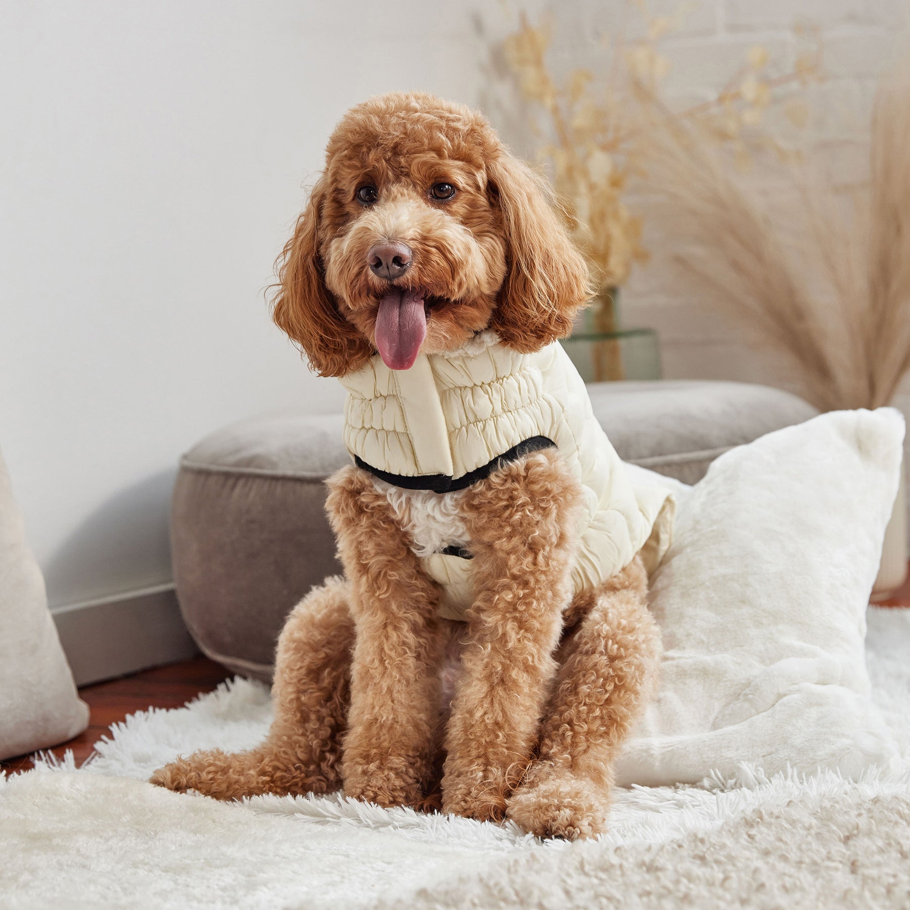 Parka pour chien nuage | Sable