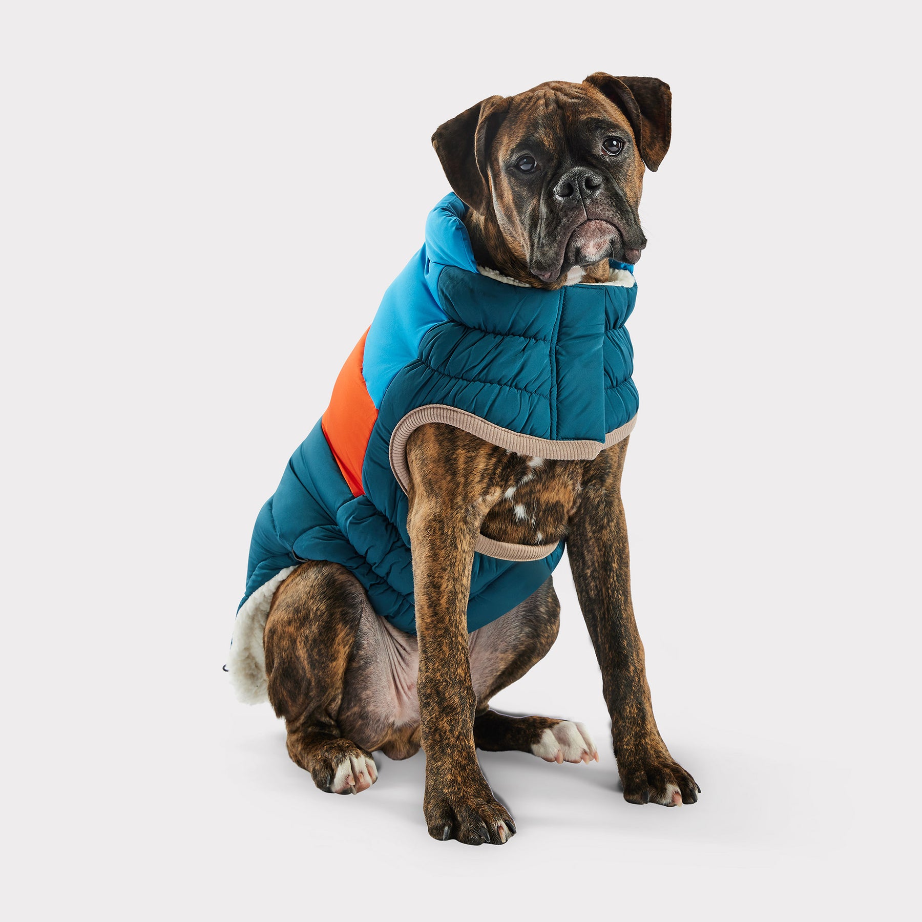 Puffer pour chien bloc de couleur | Sarcelle foncé