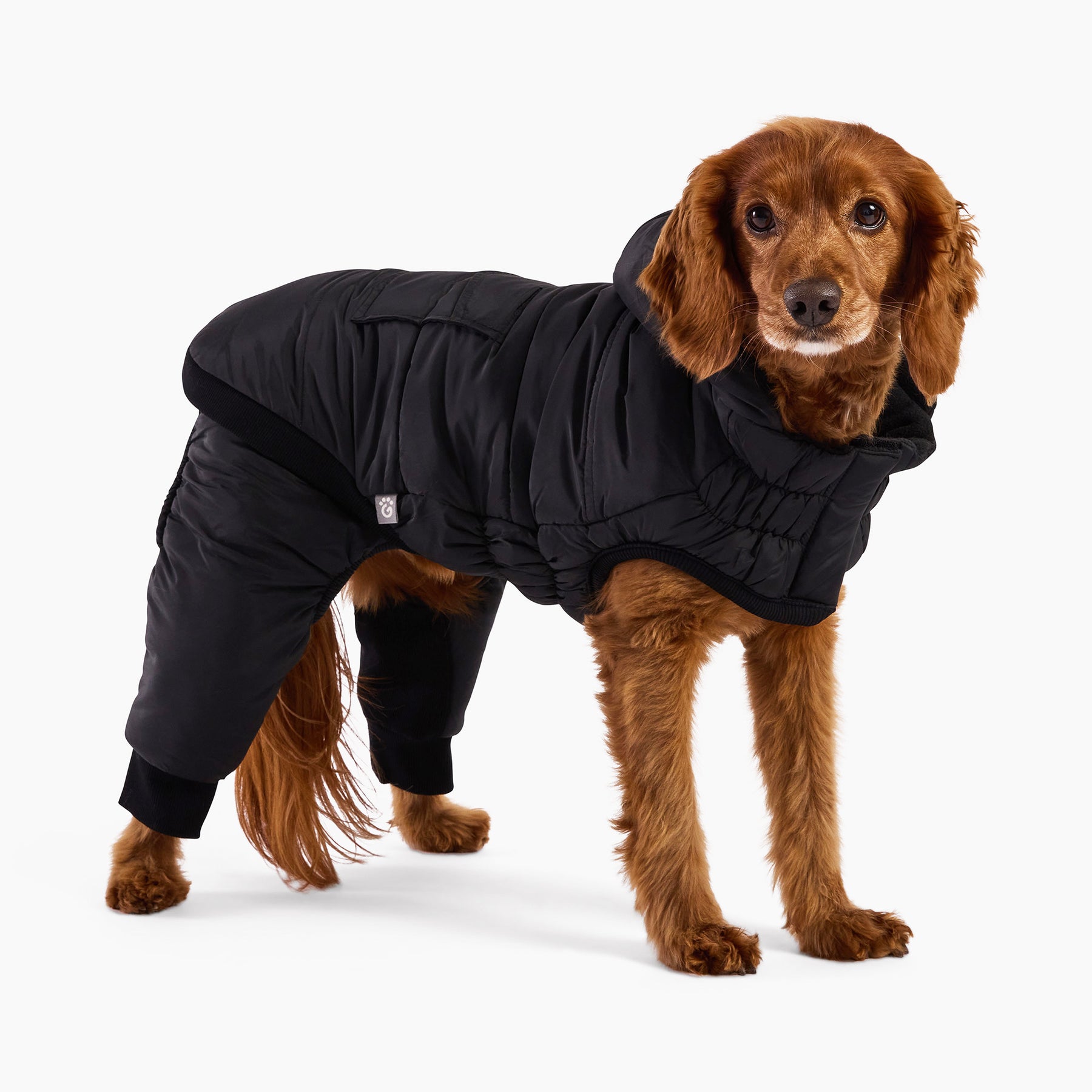 Odyssey Dog Snowsuit | Black