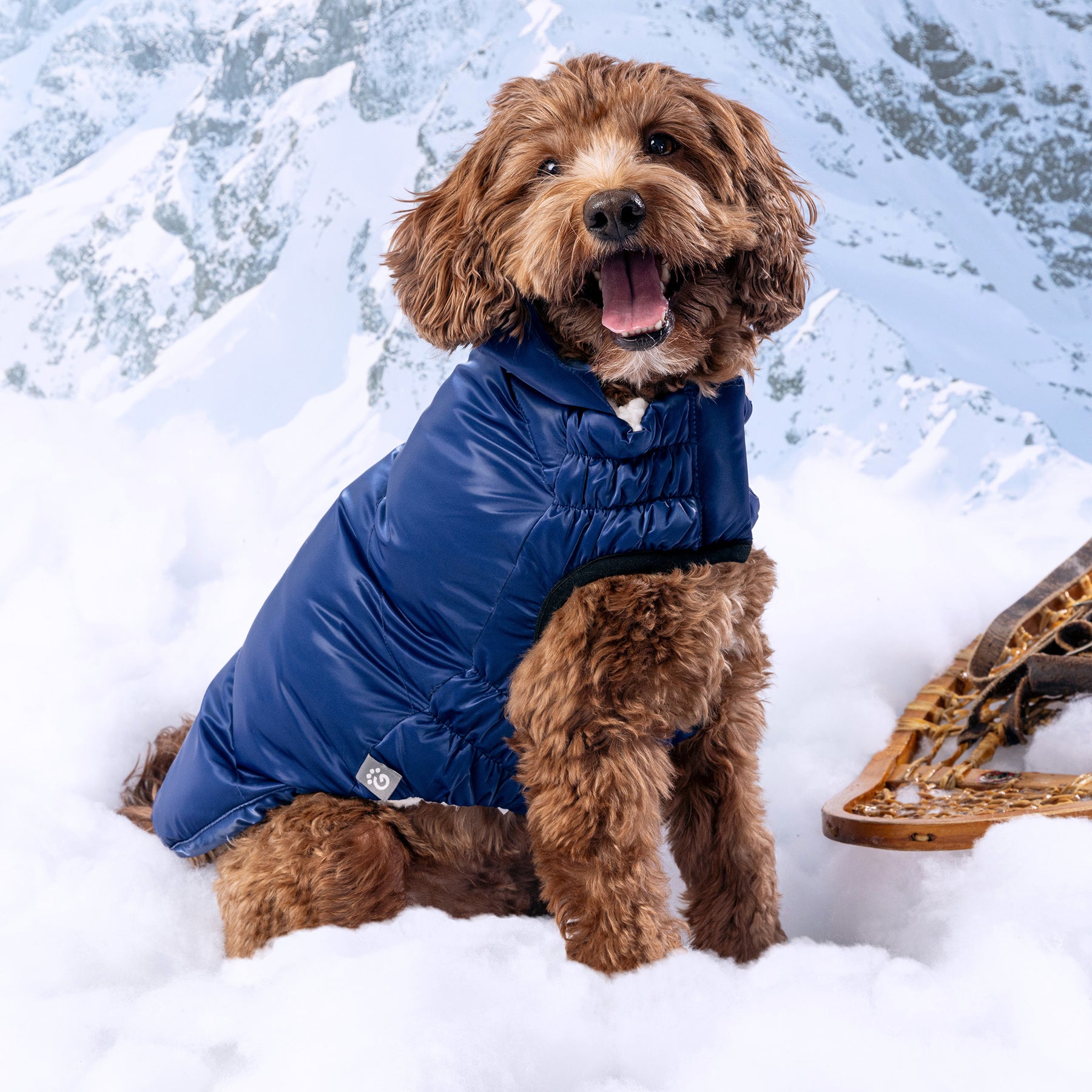 Lunar Glow Dog Parka | Blue