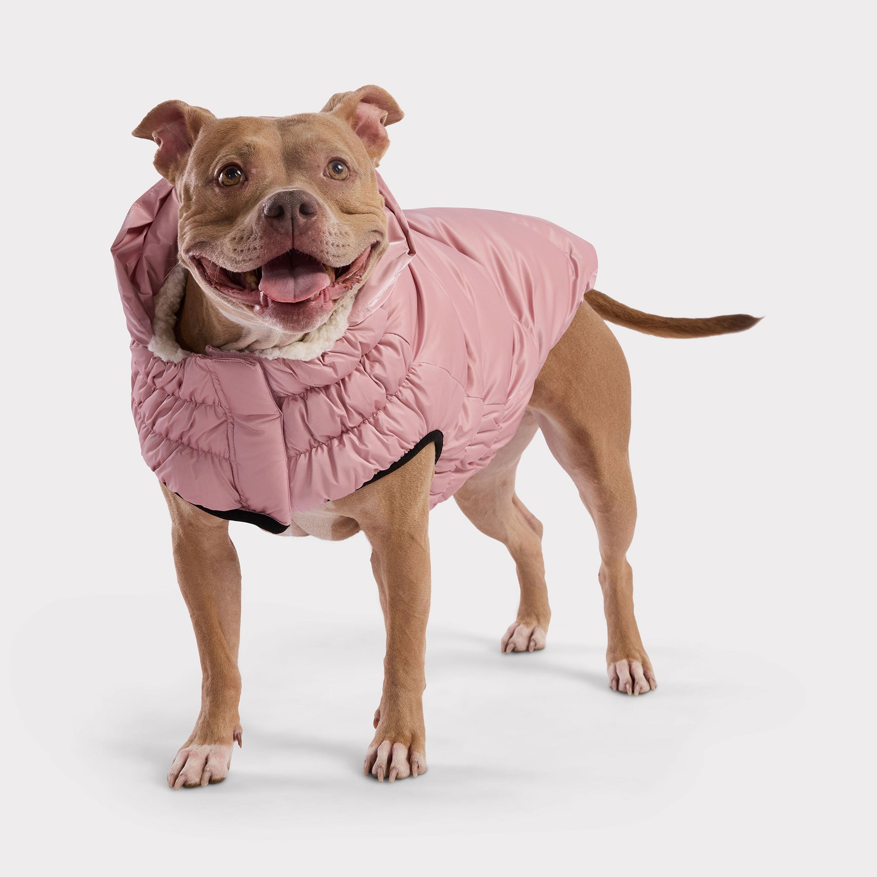 Lunar Glow Dog Parka | Pink